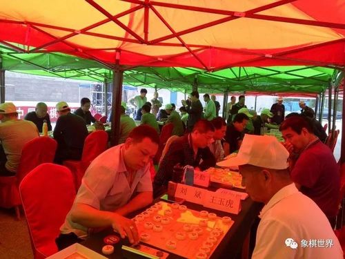 山西古县首届"牡丹杯"中国象棋公开赛:各路豪杰展雄风